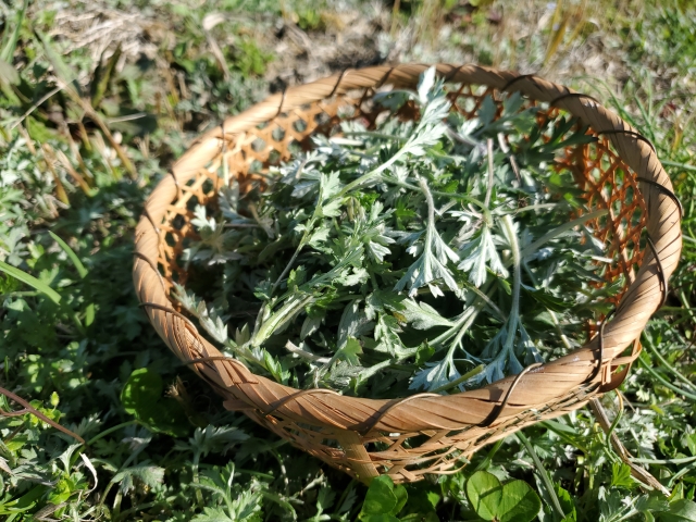 野草酵素 老廃物がもりもり出る野草酵素720ml - 健康用品